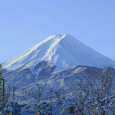 九游仙魔奇谈手游下载
