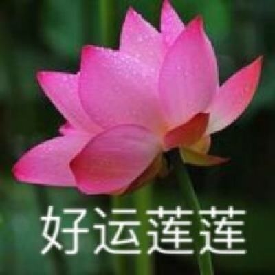 复联决战未来官方